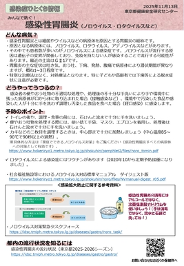 感染性胃腸炎(ノロウイルスなど)の季節到来!(チラシ)