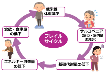 フレイルサイクルをイラストで説明