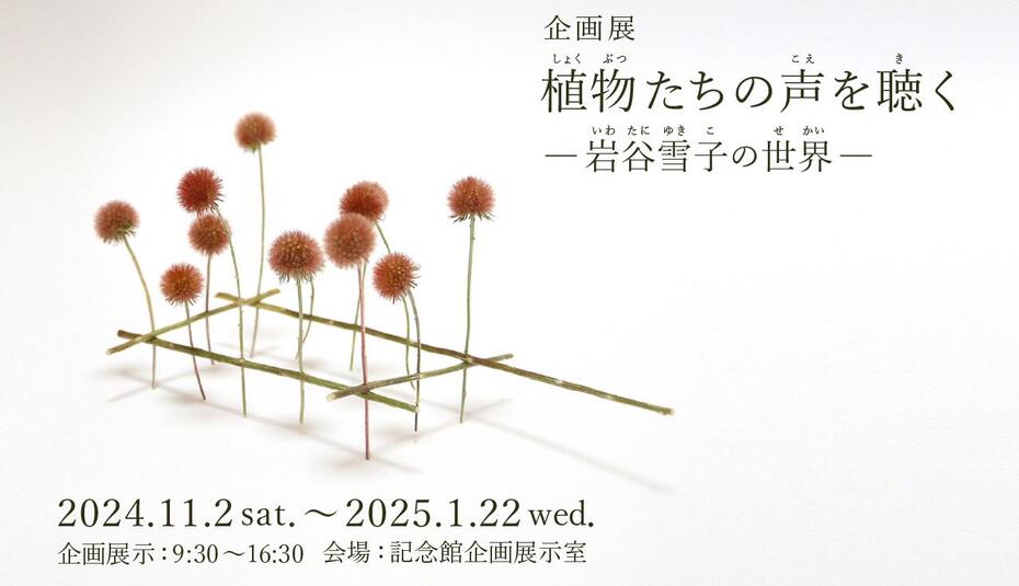 企画展「植物たちの声を聴く」