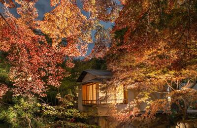 向山庭園秋の風景