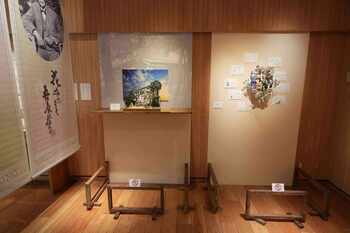 展示