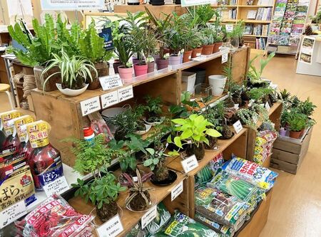 四季の香マーケット＆カフェ