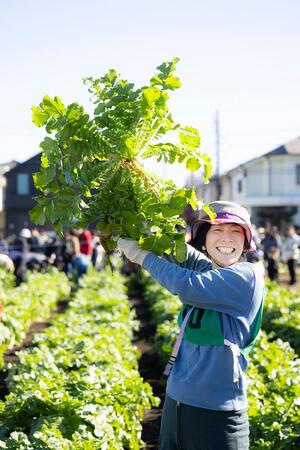 引っこ抜きの様子1