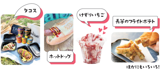 販売する商品の写真