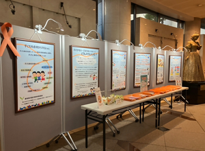 パネル展示の様子