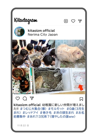 新しいモルモットを紹介している写真