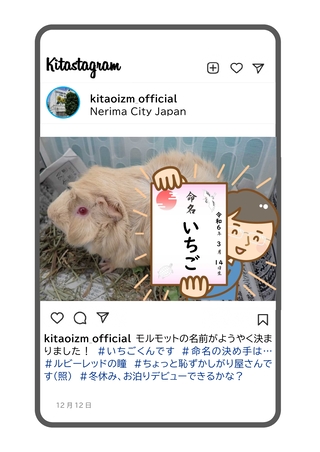 モルモットの名前が決まった写真