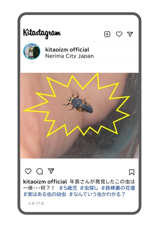 テントウムシの幼虫の写真