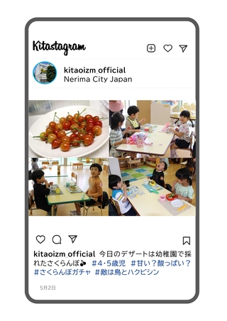 幼稚園で収穫したさくらんぼを食べている写真