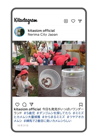 年長組のワンダーランドの写真