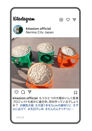 切り干し大根の写真