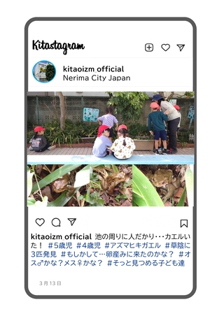 池にいるカエルの写真
