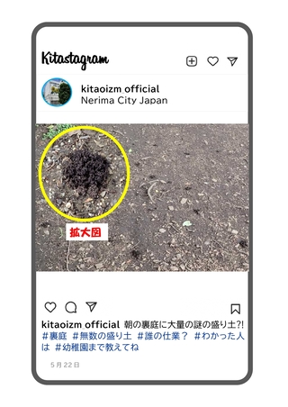 裏庭にできた謎の盛り土の写真
