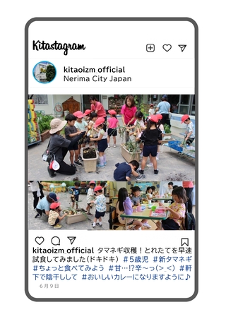 年長組が玉ねぎを収穫して食べている写真