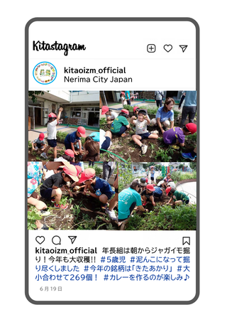年長組がジャガイモ堀りをしている写真