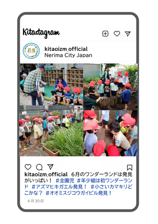 ワンダーランドの写真