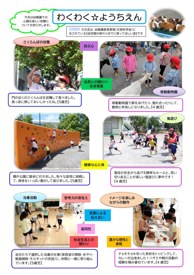 園だより6月号の写真