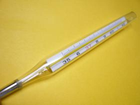 水銀体温計の写真