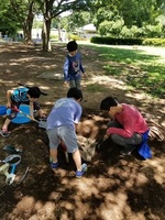 プレーパークの様子です