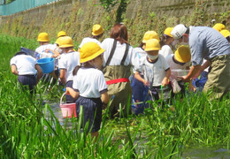 活動写真