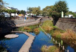 井頭池の写真