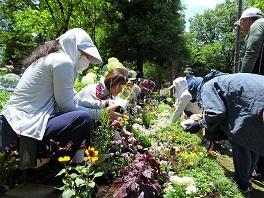 コミュニティ・ガーデナーコース講義の様子の画像