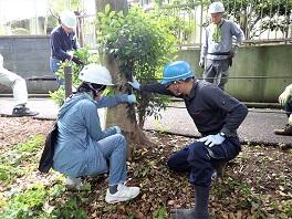 ねりまの森維持管理コース講義の様子の画像