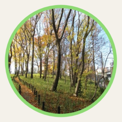 農地が広がる景観