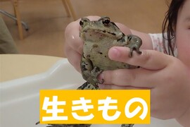 生きものコーナー