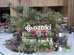 苗木販売＆植物お育て相談