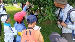 光が丘公園生きもの調査体験会