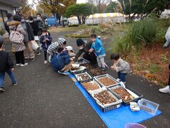 木やツタを使ってむかし遊び