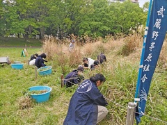 すすき原っぱとバードサンクチュアリの自然