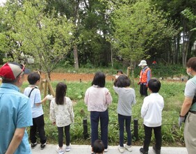 コケや樹木のお手入れ体験の様子