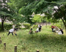 草引っこ抜き競争の様子