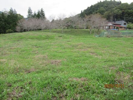 現地写真（3）（対象地南側付近）
