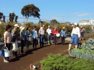 農業体験農園の講習の様子