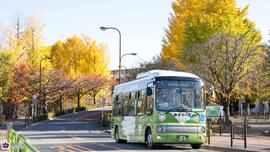 みどりバスと黄葉の写真