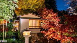 向山庭園の紅葉ライトアップの写真