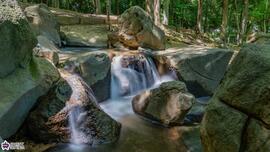 光が丘公園のせせらぎ施設の写真