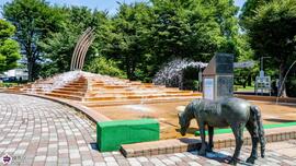 大泉中央公園のじゃぶじゃぶ池の写真