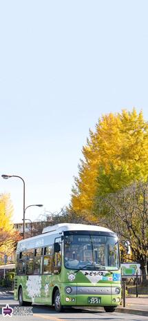 みどりバスと黄葉の写真