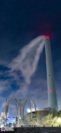 光が丘公園のけやき広場の写真