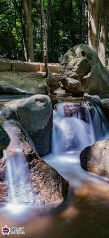 光が丘公園のせせらぎの写真