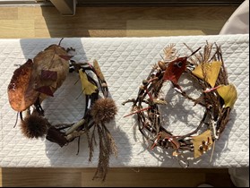 季節の野菜の栽培